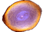 filtering shield